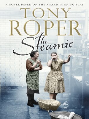 cover image of The Steamie